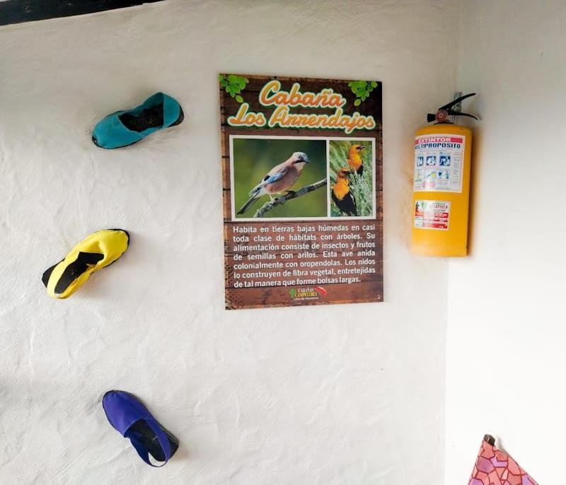 Cabanas Canon Del Chicamocha Aratoca エクステリア 写真