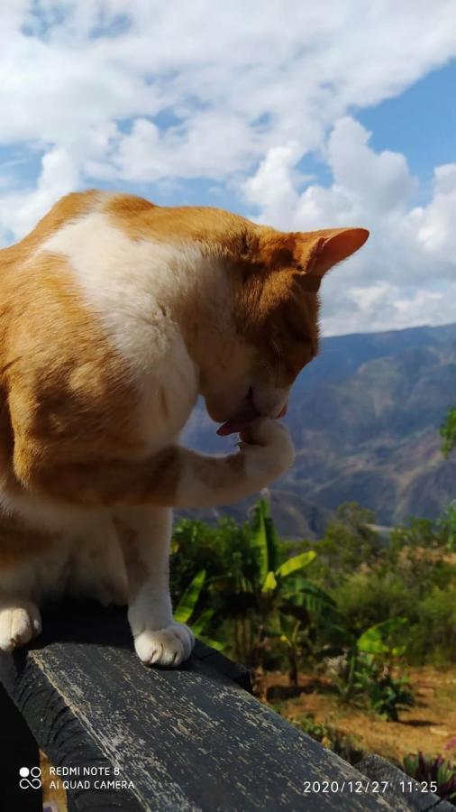 Cabanas Canon Del Chicamocha Aratoca エクステリア 写真