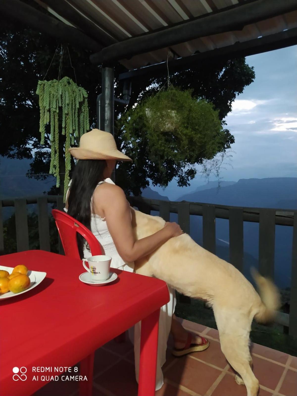 Cabanas Canon Del Chicamocha Aratoca エクステリア 写真