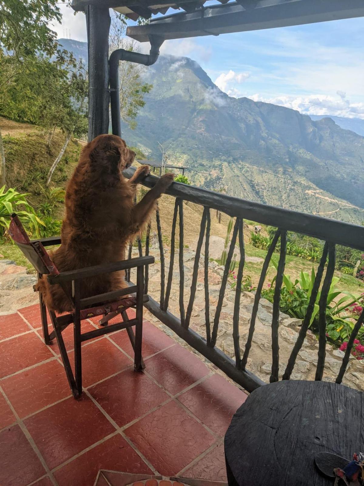 Cabanas Canon Del Chicamocha Aratoca エクステリア 写真