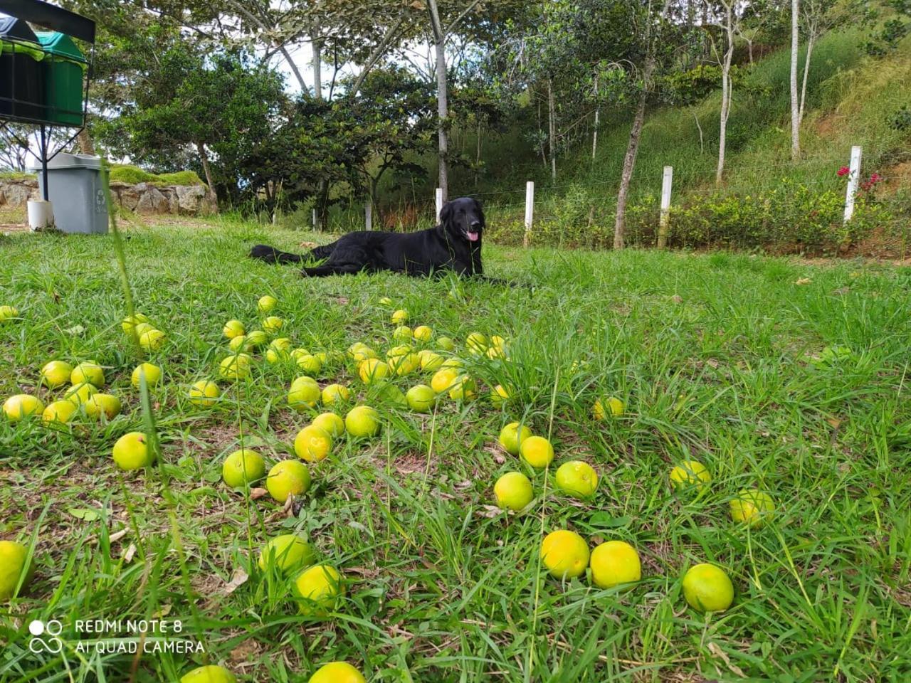 Cabanas Canon Del Chicamocha Aratoca エクステリア 写真