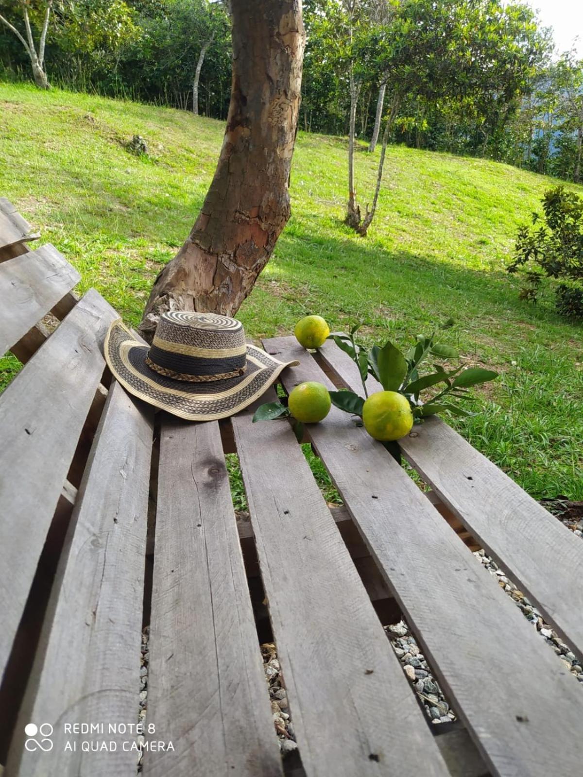 Cabanas Canon Del Chicamocha Aratoca エクステリア 写真