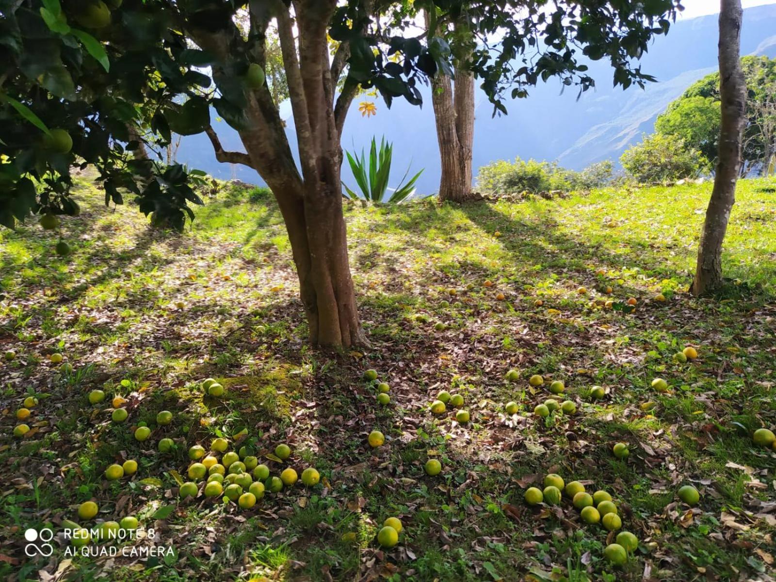 Cabanas Canon Del Chicamocha Aratoca エクステリア 写真